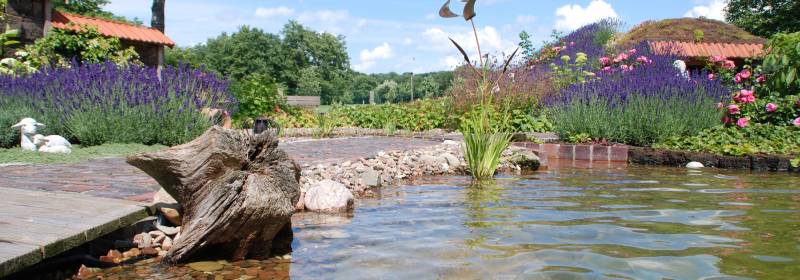 Teichanlagen Wasserspiele In Oldenburg Garten Landschaftsbau Oeltjen